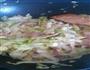 青椒圆白菜炒肉的做法图解4
