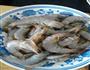 蒜茸铁板虾的做法图解1