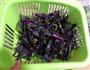 炝炒红菜苔的做法图解1