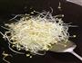 银芽蛋丝粉丝的做法图解2