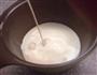 牛奶布丁的做法图解2