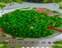 蒜蓉豌豆的做法图解5