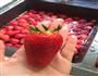 草莓果酱的做法图解1