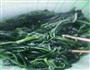 宝宝菠菜面的做法图解3
