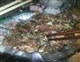 芽菜肉包的做法图解1