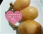 蒸枇杷的做法图解1