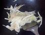 白菜炖冻豆腐的做法图解6