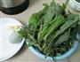 上汤野菜蒲公英的做法图解1
