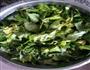 蒜汁芹菜叶的做法图解1