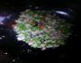 豌豆炒肉泥的做法图解6