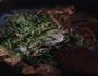 水煮肉片的做法图解10