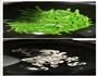 润饼卷的做法图解6