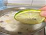椰汁香茅鸡汤的做法图解7