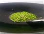榄菜肉末炒豆角的做法图解4