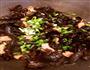黑木耳炒肉片的做法图解6
