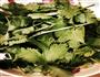 肉丝炒海蜇的做法图解3
