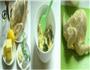 奶油香草烤鸡的做法图解1