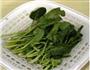 珍选捞汁菠菜粉丝的做法图解1