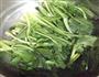 珍选捞汁菠菜粉丝的做法图解4