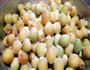 腌青梅的做法图解2