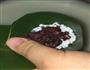 红豆沙糯米粽子的做法图解6