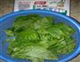 木耳菜豆腐汤的做法图解1