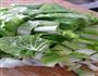 家常菜灬小白菜炒豆芽的做法图解2