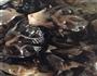 鸡肉炒春笋的做法图解3