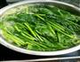 麻酱菠菜的做法图解4