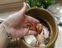 土茯苓茅根炖猪骨-最好喝的清热祛湿汤的做法图解4