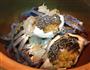 螃蟹排骨砂锅粥的做法图解5