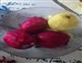 火龙果苹果梨酵素的做法图解1