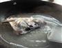豆香鱼头汤的做法图解2
