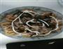 章鱼小丸子的做法图解10