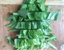 蒜茸油麦菜的做法图解1