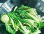 蒜蓉青菜的做法图解3
