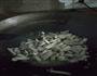 炒芋头的做法图解2