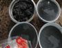 黑豆浆的做法图解5