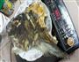 鱼头蕃茄薯仔汤的做法图解4