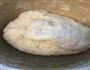 牛奶馒头的做法图解2