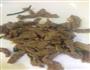 韭菜苔炒牛肉丝的做法图解4