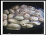 大杂绘水饺的做法图解8