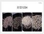 三门饺子的做法图解4