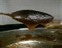 川贝枇杷膏的做法图解8