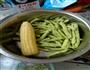 排骨炖豆角的做法图解2