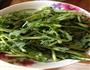 油泼茼蒿的做法图解1