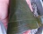 肉粽-花式粽的做法图解10