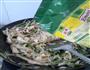 韭菜炒干豆腐豆芽的做法图解7