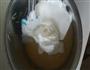 零失败戚风蛋糕的做法图解10