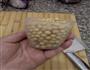 黄豆豆浆的做法图解2
